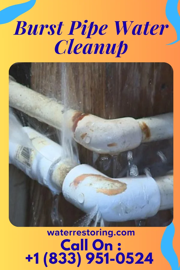 Burst Pipe Water Cleanup in Creola, LA
