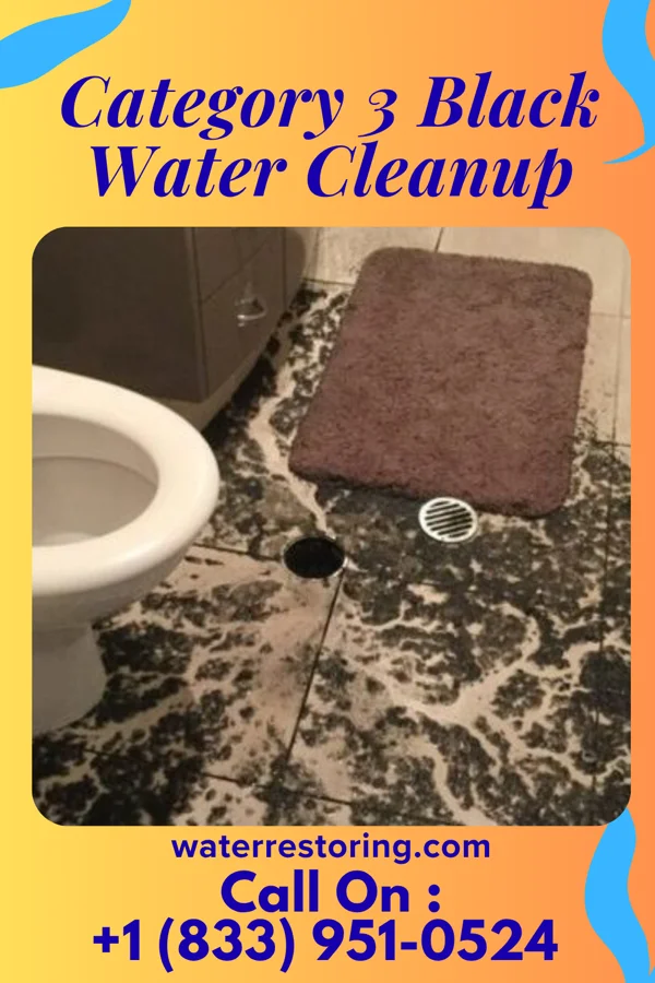 Category 3 Black Water Cleanup in Creola, LA