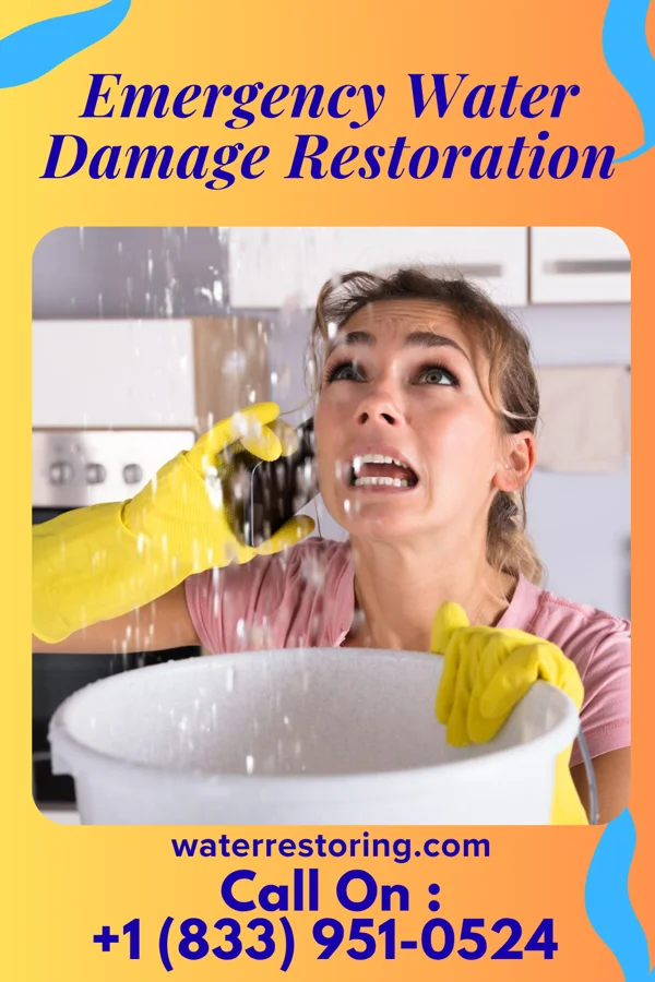 Emergency Water Damage Restoration in Creola, LA