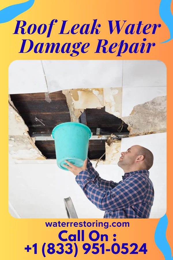 Roof Leak Water Damage Repair in Creola, LA