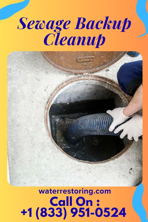 Sewage Backup Cleanup in Creola, LA