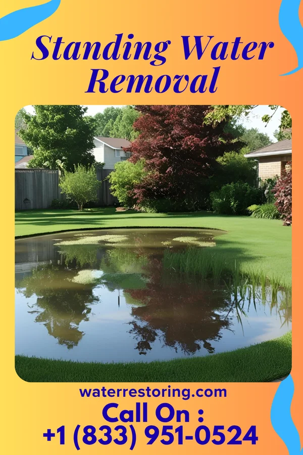 Standing Water Removal in Creola, LA